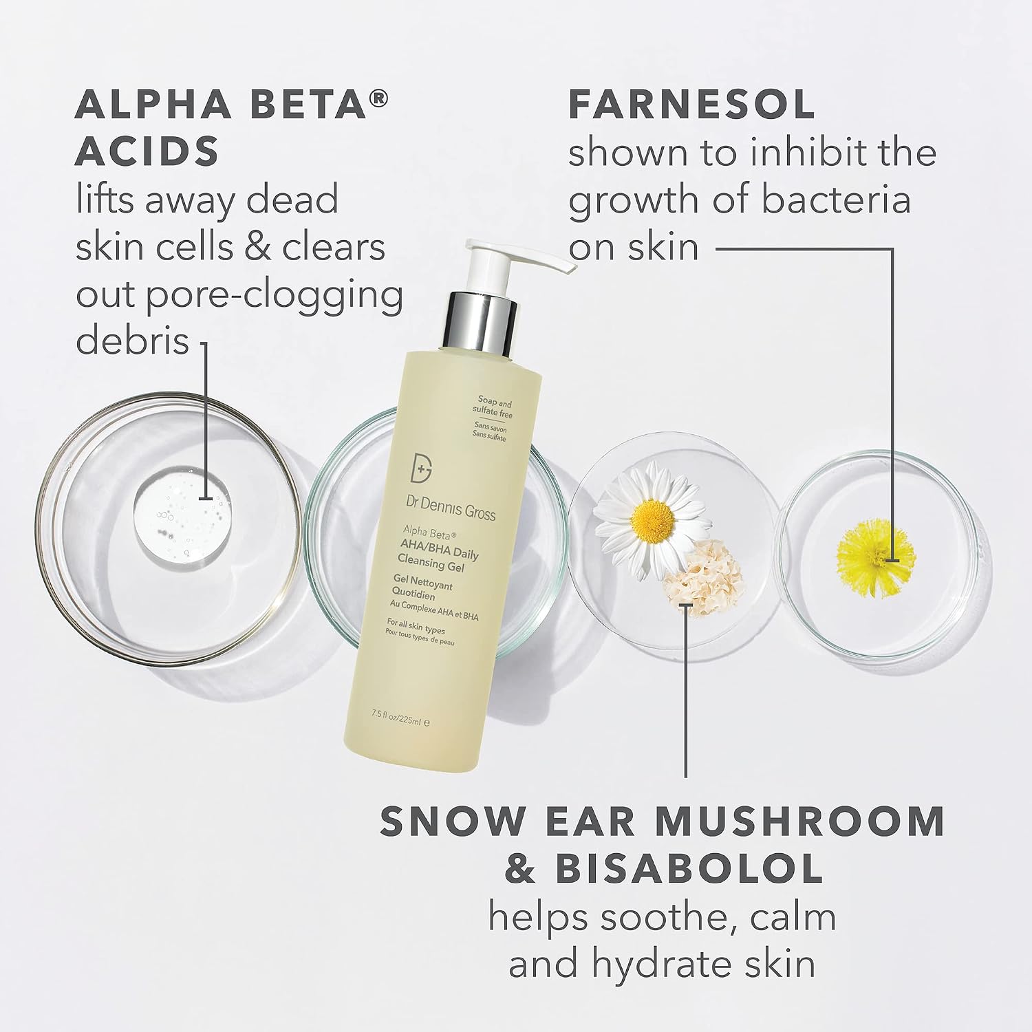 Dr Dennis Gross Alpha Beta® AHA/BHA Daily Cleansing Gel